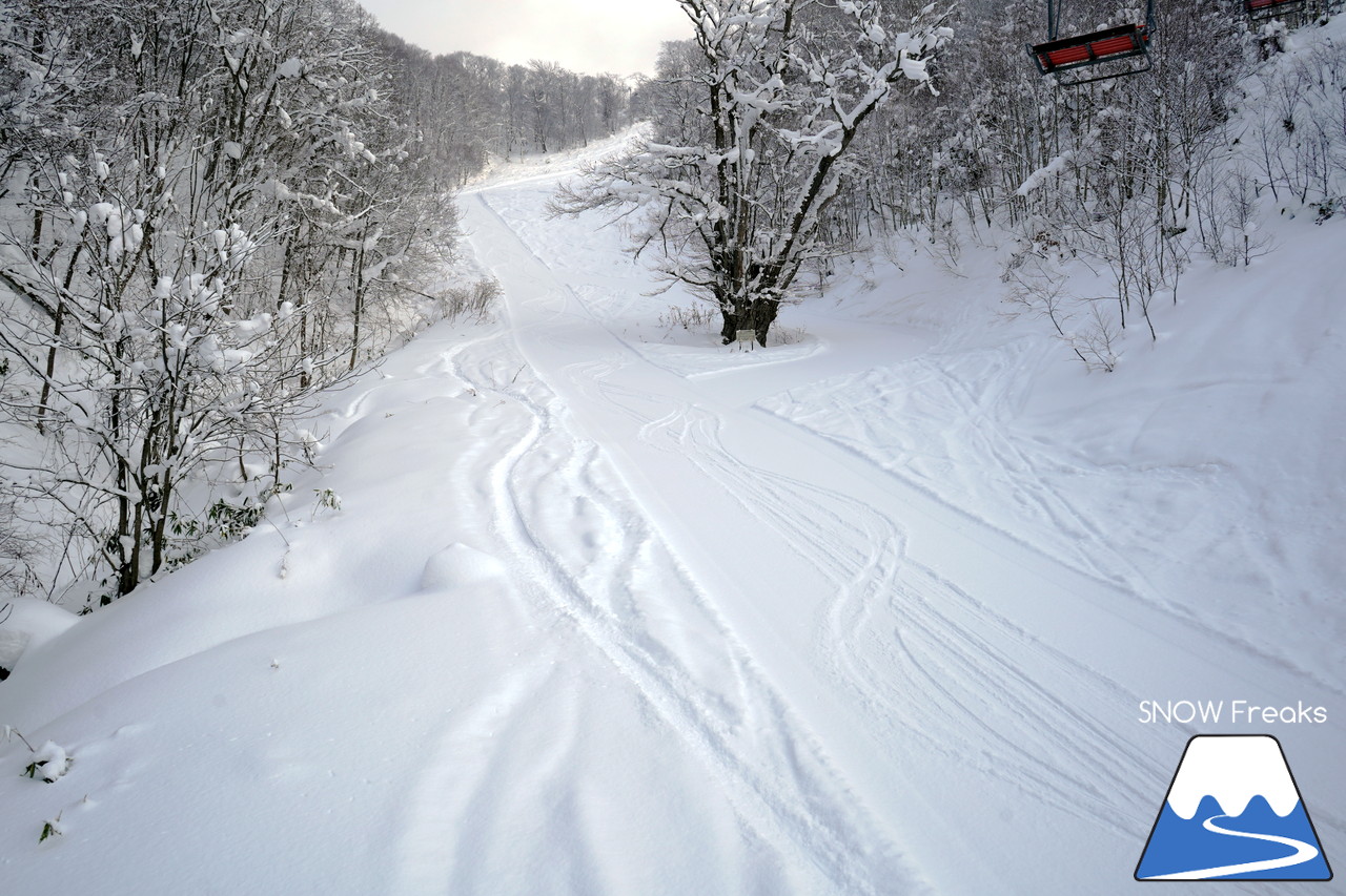 かもい岳スキー場 山頂から東西へ滑り降りる変化に富んだオールラウンドゲレンデ！